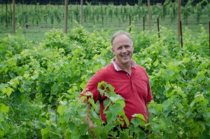 Carl DiManno among his Virginia Vines